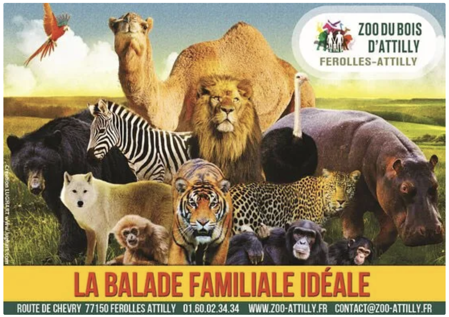 Annonce - Visite au Zoo du Bois d'Attilly
